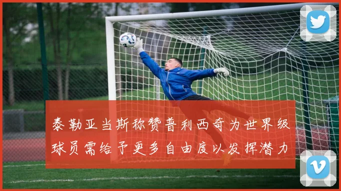 泰勒亚当斯称赞普利西奇为世界级球员需给予更多自由度以发挥潜力