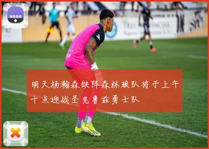 明天杨瀚森缺阵森林狼队将于上午十点迎战圣克鲁兹勇士队